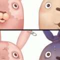 MOZADH SHOP ⎝≧⏝⏝≦⎠ 