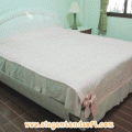 ��Ҥ�����§ 6 �ص ⷹ���ٴ͡��� ������ Amante