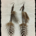 ��ҧ�� ����  (earrings bird feather stype)