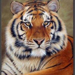 King of forest, Tiger (พิมพ์ลาย)