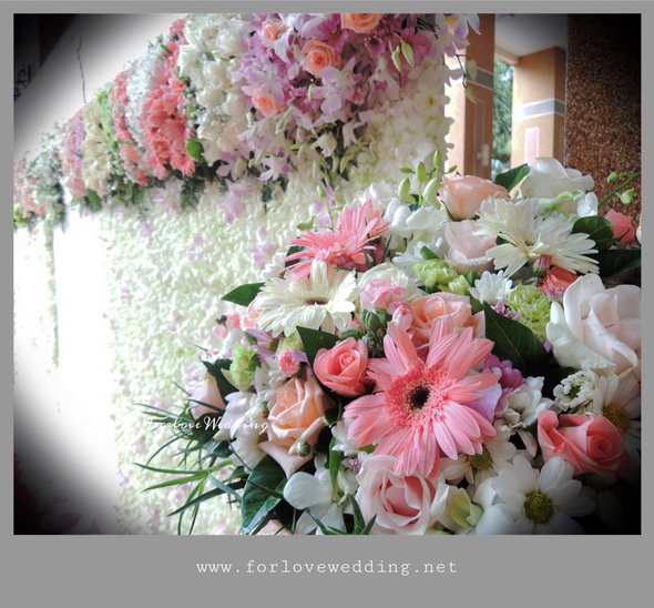http://www.plazacool.com/upload/files/file_id_111146.jpeg