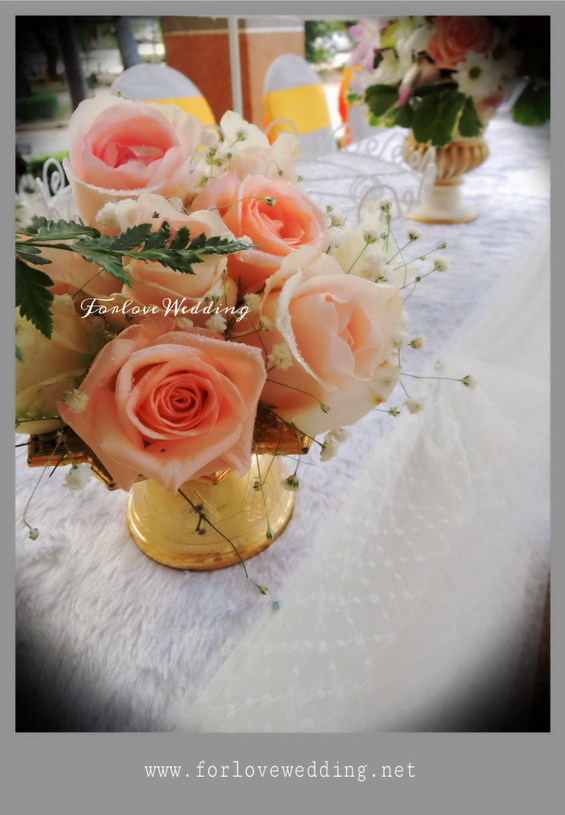 http://www.plazacool.com/upload/files/file_id_111147.jpeg
