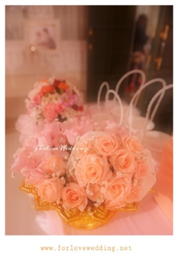 http://www.plazacool.com/upload/files/file_id_115023.jpg