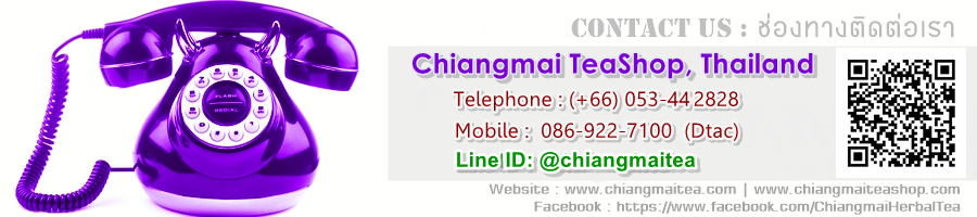 ChiangMai TeaShop Thailand