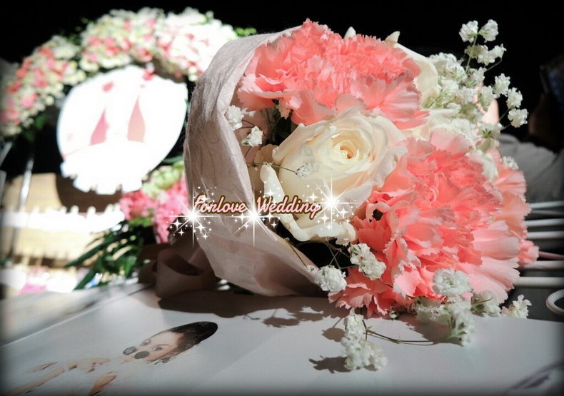 http://www.plazacool.com/upload/files/file_id_93075.jpg