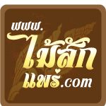 รับผลิต ติดตั้ง เฟอร์นิเจอร์ไม้สัก ทุกชนิด ทุกรูปแบบ  มีสินค้าจริง ส่งถึงที่ 