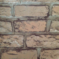 wallpaper ����԰ �Թ ��� 1