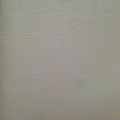 wallpaper ����԰ �Թ ��� 1