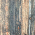 wallpaper ����԰ �Թ ��� 2