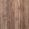 wallpaper ����԰ �Թ ��� 2