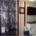 �觺�ҹ  Condo����� �ҤҶ١ �