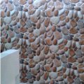 ��ҹ��� Condo�� �ŧҹ�շ���ش ��ҹ��Ţ�´��ѹ�Ѻ1