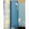 wall ��� ྴҹ s ���ҧ53cm ���10m ��ǹ5��� 