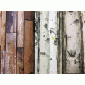 wall�԰ ��� �����3DLoft �˭�15��� ���ҧ1.06� ���15.6� c