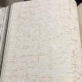 wallpape ������� ���10�. ���ҧ 53��. ��ǹ 5��� ao