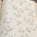 wallpape ������� ���10�. ���ҧ 53��. ��ǹ 5��� ao