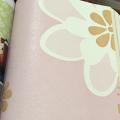wallpape ������� ���10�. ���ҧ 53��. ��ǹ 5��� ao