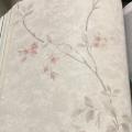 wallpape ������� ���10�. ���ҧ 53��. ��ǹ 5��� ao
