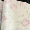 wallpape ������� ���10�. ���ҧ 53��. ��ǹ 5��� ao