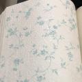 wallpape ������� ���10�. ���ҧ 53��. ��ǹ 5��� ao