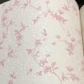 wallpape ������� ���10�. ���ҧ 53��. ��ǹ 5��� ao