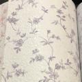 wallpape ������� ���10�. ���ҧ 53��. ��ǹ 5��� ao