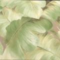 wallpaper ���� ���ѵ��  ��ǹ���� 1 ��ǹ 5 ���ҧ���� ���ҧ 53 cm ��� 10 m  ip