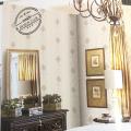 wall�ҤҾ���� ���ҧ 53 cm ��� 10 m ��ҡѺ 5 ���ҧ���� qd