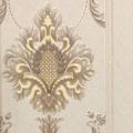 wall�ҤҾ���� ���ҧ 53 cm ��� 10 m ��ҡѺ 5 ���ҧ���� qd