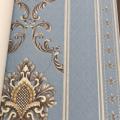 wall�ҤҾ���� ���ҧ 53 cm ��� 10 m ��ҡѺ 5 ���ҧ���� qd