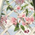 wallpaper ���� ���ѵ��  ��ǹ���� 1 ��ǹ 5 ���ҧ���� ���ҧ 53 cm ��� 10 m  ch