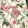 wallpaper ���� ���ѵ��  ��ǹ���� 1 ��ǹ 5 ���ҧ���� ���ҧ 53 cm ��� 10 m  ch