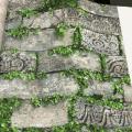 wall�԰ �Թ���2 ���10�. ���ҧ53�� ��ǹ5��� ch