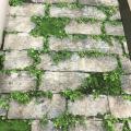 wall�԰ �Թ���2 ���10�. ���ҧ53�� ��ǹ5��� ch