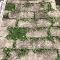 wall�԰ �Թ���2 ���10�. ���ҧ53�� ��ǹ5��� ch