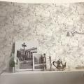 wall�Թ��͹ ��ǹ���� ���ҧ 53 cm ��� 10 m ��ҡѺ 5 ���ҧ����  ua