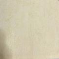 wall�ٹ����� �ٹ�Ѵ ��ǹ���� 1 ��ǹ 5 ���ҧ���� ���ҧ 53 cm ��� 10 m  rmo
