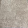 wall�ٹ����� �ٹ�Ѵ ��ǹ���� 1 ��ǹ 5 ���ҧ���� ���ҧ 53 cm ��� 10 m csi
