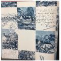 wallpaper Van gogh �Ԣ�Է����� ��� 10�  ���ҧ53�� ��ǹ 5��� 