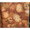 wallpaper Van gogh �Ԣ�Է����� ��� 10�  ���ҧ53�� ��ǹ 5��� 