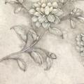 wallpape ������� ���10�. ���ҧ 53��. ��ǹ 5��� arm