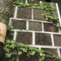 wall�԰��� �������ǹ�˭�15��� ���15.6� �1.06 � cnt