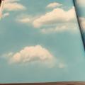 wall�԰��� �������ǹ�˭�15��� ���15.6� �1.06 � cnt