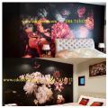 �Ҿ��觾���� �����Ҵ��ѧ��� ᤹��� �˹��� ����·��ҹ