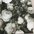 wall����  ��ǹ�˭�  5 ���ҧ���� ���ҧ 53 cm ��� 10m  lmt2