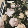wall����  ��ǹ�˭�  5 ���ҧ���� ���ҧ 53 cm ��� 10m  lmt2