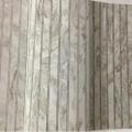 wall�Թ��͹ ��ǹ�˭� 15 ���. ��� 15.6 �. ���ҧ 1.06 �et