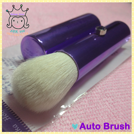 Auto Brush