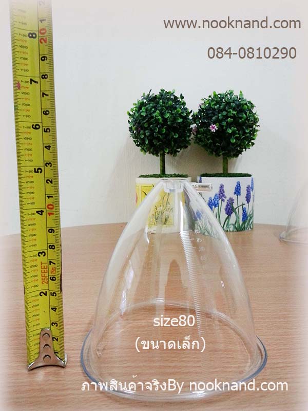 ถ้วยปั้มหน้าอกขนาดเบอร์ 80