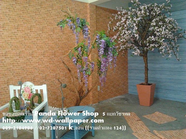 ผลงานการติดตั้งของทางร้าน วอลเปเปอร์ติดผนัง,วอลเปเปอร์ติดผนังราคาถูก,ติดตั้งวอลเปเปอร์ติดผนัง,ลายวอลเปเปอร์ติดผนัง,ร้านขายวอลเปเปอร์ติดผนัง